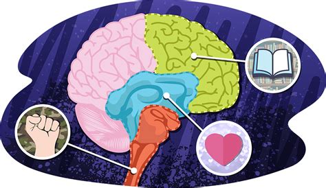 ldr meaning|Here's What Happens In Your Brain When You're In .